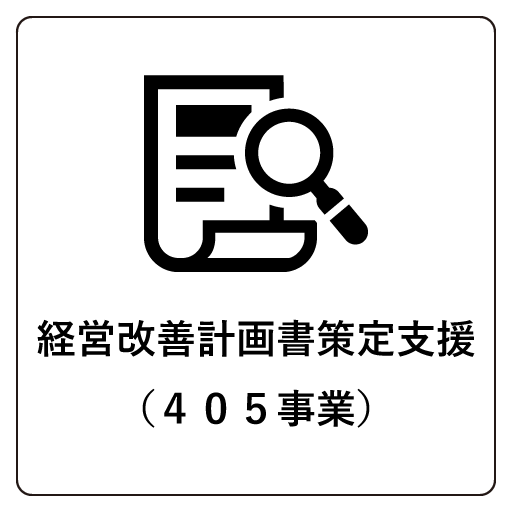 経営改善計画書策定支援（405事業）